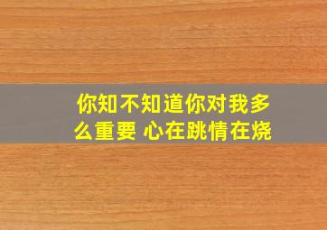 你知不知道你对我多么重要 心在跳情在烧